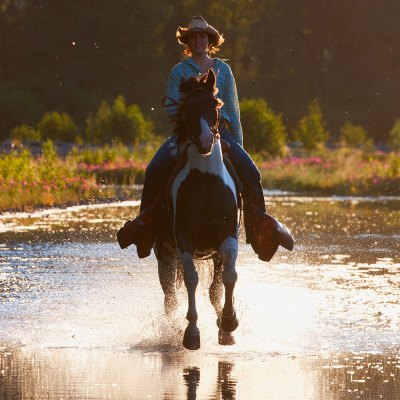 a person riding a horse on a beach