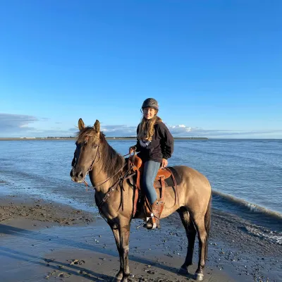 a person riding a horse on a beach