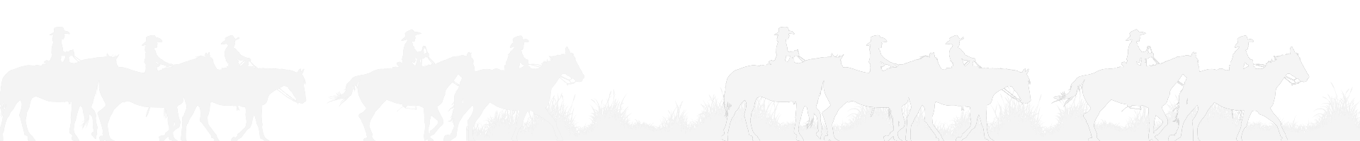 a close up of an animal